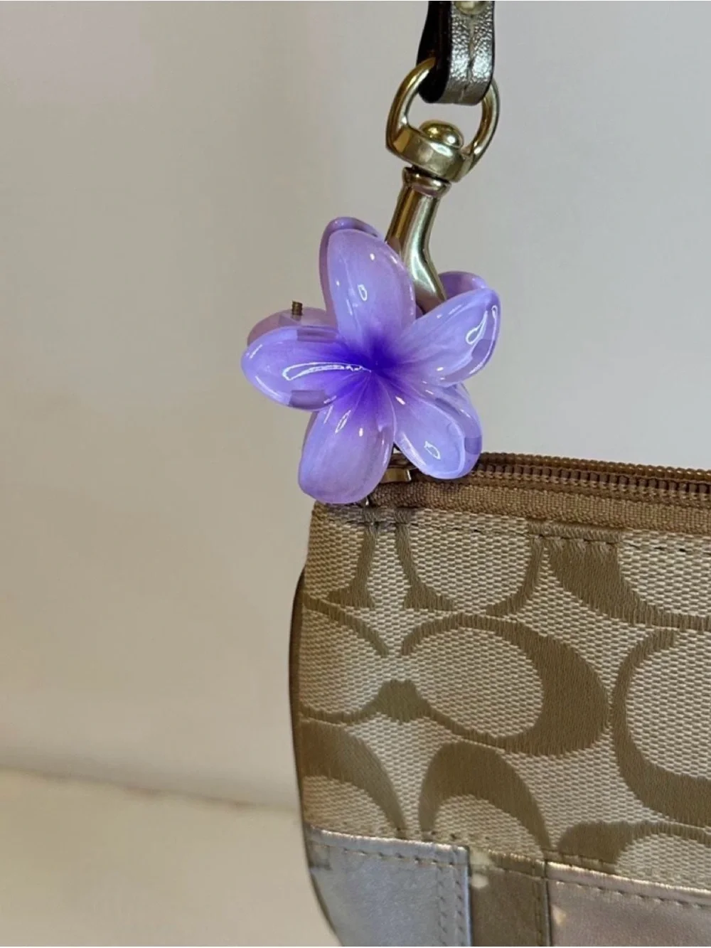 Coach Wristlets (2)